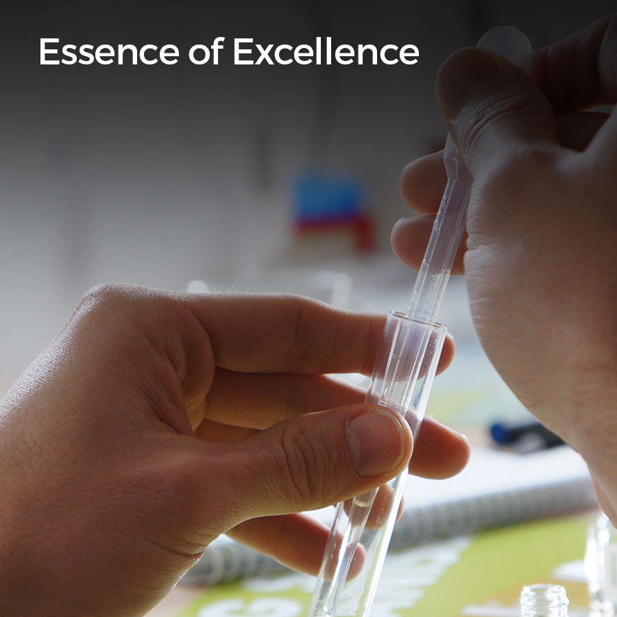 Essence of Excellence Team Building