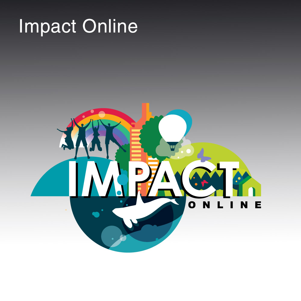 Impact Online Team Building Program